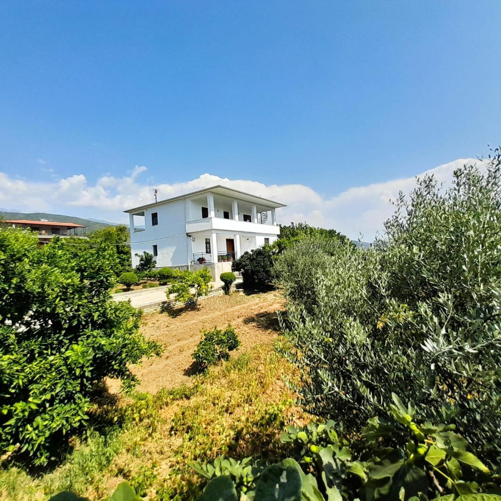 Villa Besart Berat Bagian luar foto